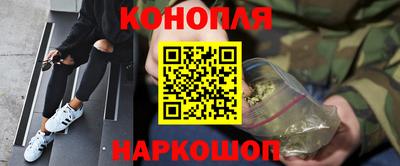сатива Краснодар