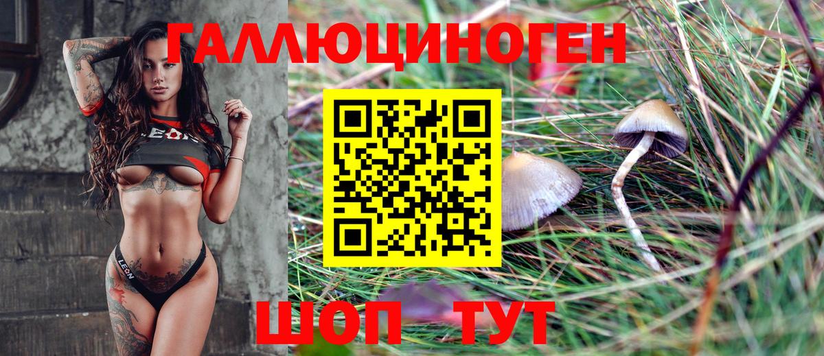 купить  цена  Вход с VPN  Псилоцибиновые грибы Magic Shrooms  Кашира  Псилоцибиновые грибы мицелий 