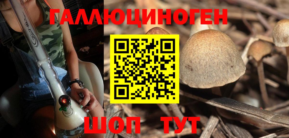 Галлюциногенные грибы прущие грибы Кашира